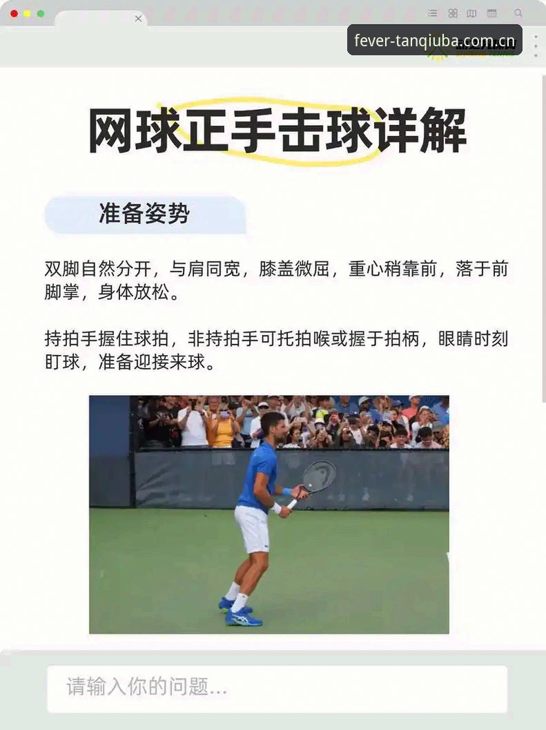 谈球体育平台完整攻略：从新手到高手的实战指南