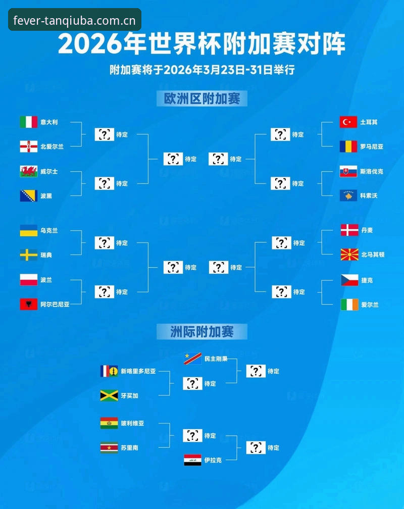 世界杯观赛“冷场”背后：签证困境与地缘政治vs球迷热情，谈球体育平台怎么看？